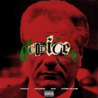 Ape - Codice
