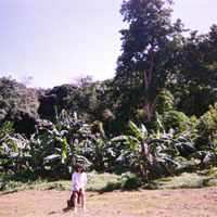 iluna - Araw-Araw