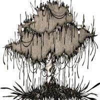 THE NOVEMBERS - picnic