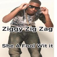 Ziggy Zig Zag - She A Fool Wit It