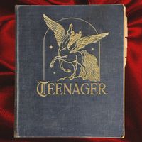 Teenager - Wax & Wane
