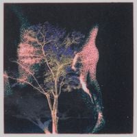 Pareto - UMBRA