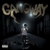 LAZER DIM 700 - GANGWAY