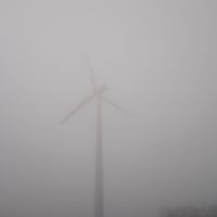 Tobias Green - Fog