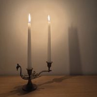 Faten Kanaan - Diary of A Candle