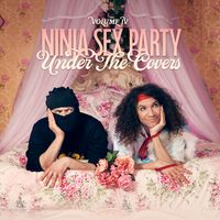 Ninja Sex Party - Walk the Dinosaur