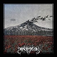 Panopticon - The Poppies Bloom For No King