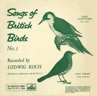 Ludwig Koch - Songs of British Birds No.1