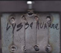 Lyssa humana - Schrauben Tape