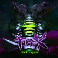 Twistex - Black & Green