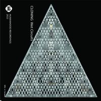 Cloning - Wet Circuits
