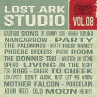Various Artists - Lost Ark Studio Compilation - Vol. 08