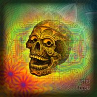 Ajja - Tulpa