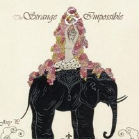 Joey Pecoraro - The Strange and Impossible