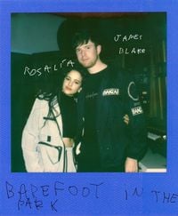 James Blake - Barefoot in the Park