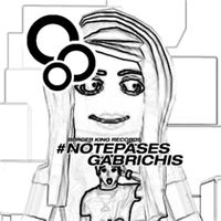 gabrichis - #NOTEPASES