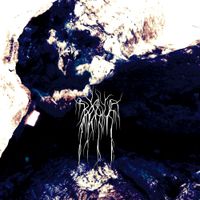Bosque - Beyond
