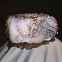 Cloning - Squirters