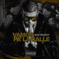 Bad Bunny - Vamos Pa' La Calle