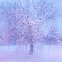 VS--55 - Himlens Blad