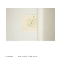梅沢英樹 [Hideki Umezawa] - Critical Garden