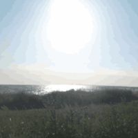 Breakcorist00 - mmkmj & Tenta Soundcloud Dump