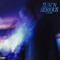 Nippa - Sum'n Serious (SLIZZY MIX)