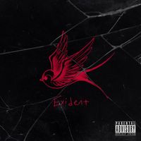 Dennis Lloyd - Exident