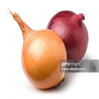 Joost - funny onion song