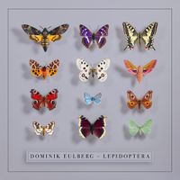 Dominik Eulberg - Lepidoptera