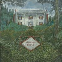 Weirs - Diamond Grove