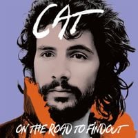 Cat Stevens - Cat On The Road To Findout