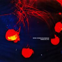 Singlelito - Non-Consciousness