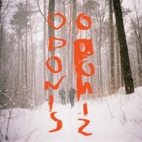 Odonis Odonis - Odonis Odonis