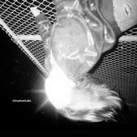 EARTH TO EMILY - SHINY SILVER BULLET