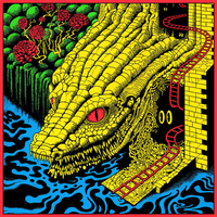King Gizzard & The Lizard Wizard - Live at Remlinger Farms '23