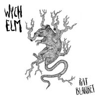 wych elm - Rat Blanket