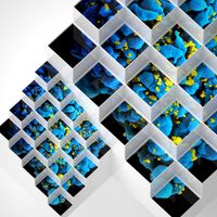 Bluetech - Liquid Geometries In Dub