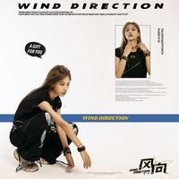 袁一琦 - 风向
