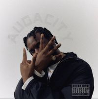 Novelist - AUDACITY
