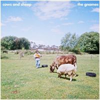The Gnomes - Cows and Sheep
