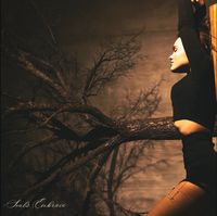 Polina Posh - Soul's Embrace