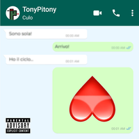 TonyPitony - CULO