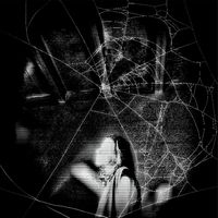 Fread - DARK WEB