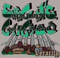 Evacuate Chicago - Veracity