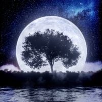 SLANDER - Save Tonight