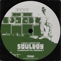 p-rallel - Soulboy (Disrupta Remix)