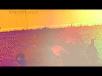 Temporary Jesus - Temporary Jesus