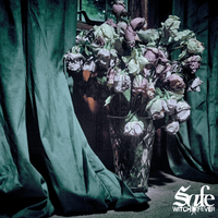 Witch Fever - SAFE