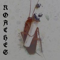 ketacat - ROACHES